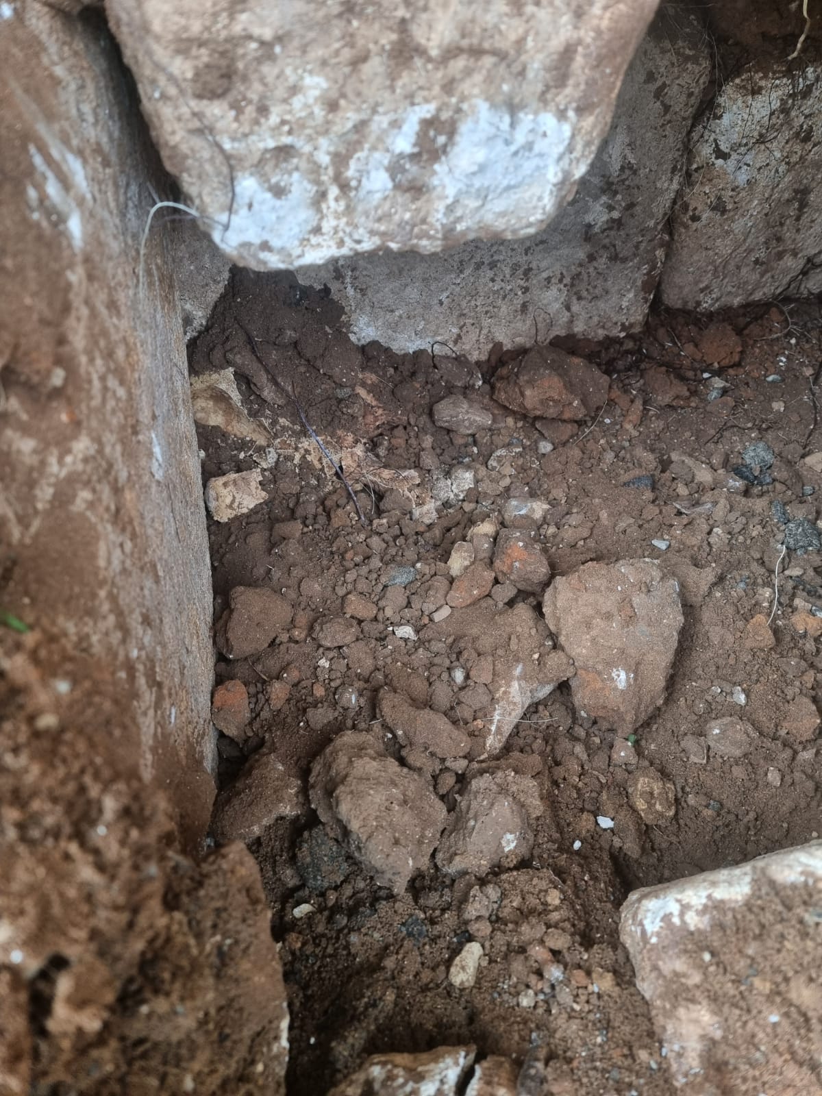 WhatsApp Image 2022-12-01 at 11.27.02 AM (1).jpeg